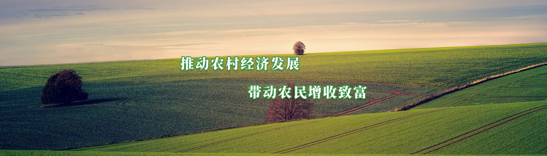 ���g22(����)�������-ÿ���о�ϲ