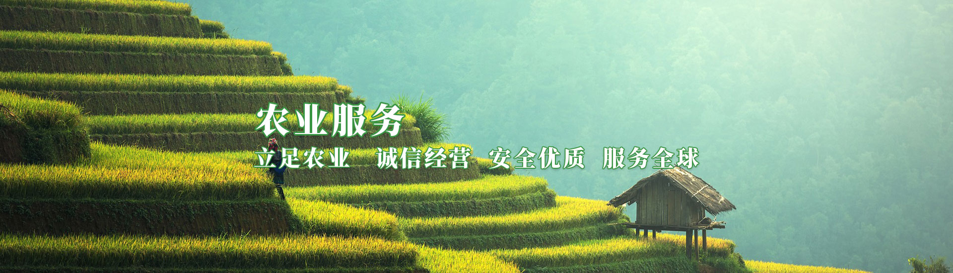 ���g22(����)�������-ÿ���о�ϲ