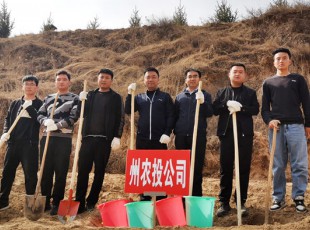 ���g22����2021�괺��ʹ��ֲ���