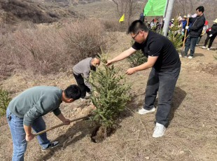 ���g22��˾����2025�괺��ʹ��ֲ���